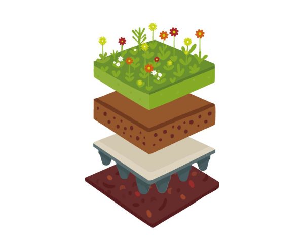 Illustratie van de verschillende lagen van een kruiden sedummat.
