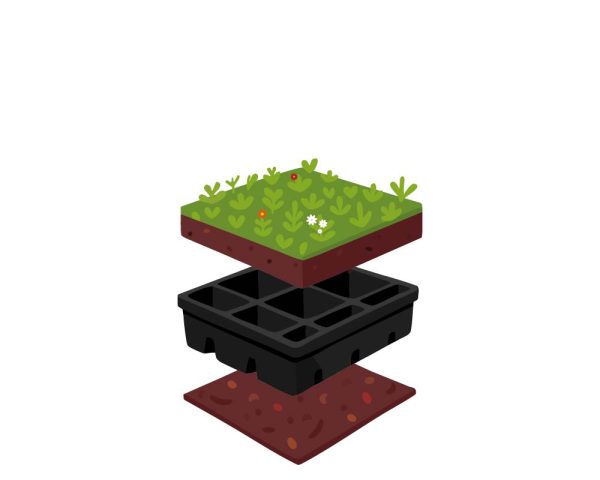 de opbouw van een sedum cassette bestaat uit een verscherp doek, een cassette met substraatvulling en een sedum mat