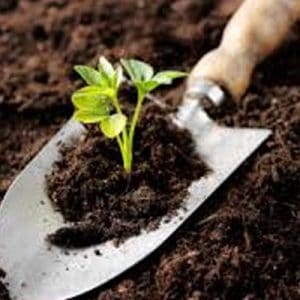 Meststoffen en bodemverbetering