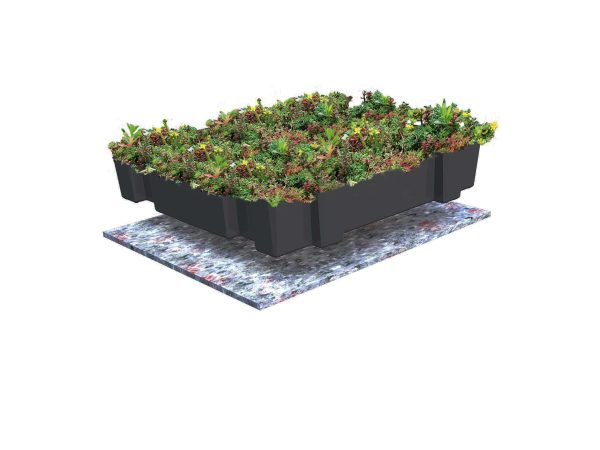 Standaard sedum cassettes - pakket