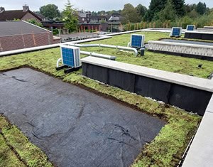 Op de foto zie je de daken die voorzien zijn van de sedummatten. De zonnepanelen moeten nog geplaatst worden in de open gelaten stukken.