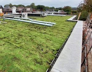 De 27 woningen in Veldhoven zijn voorzien van een mooi sedumdak.