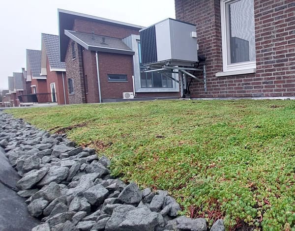 Sedumdak in Uden met verreiker hoofdfoto