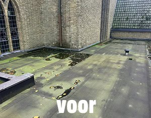 Bitumendak vóór plaatsing van het sedumdak.
