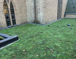 Het dak van het dorpshuis in Oosterbeers met het nieuwe sedumdak.