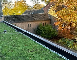 Het sedumdak van het dorpshuis in Oosterbeers.