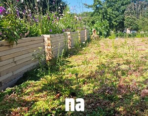 Op de foto een kleurrijk sedumkruidendak met bloembakken.