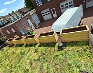 Op de foto het uitzicht vanaf het terras op het aangelegde sedumkruidendak in Boekel