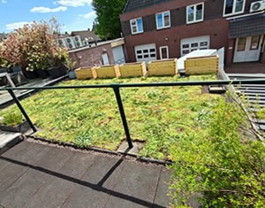 Uitzicht vanaf het terras op het sedumkruidendak in Boekel.