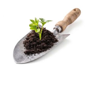 Voeding & onderhoud tuin en dak