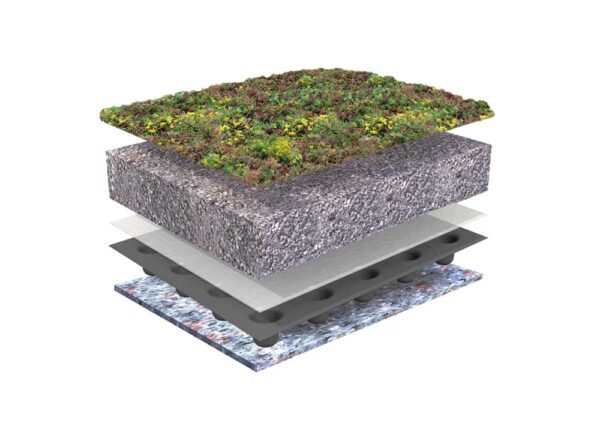 Home realistische weergave sedumdak opbouw