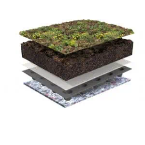 sedum pakketten kant-en-klaar